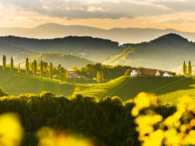 Steiermark Landschaft