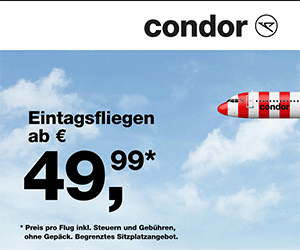 Eintagsfliegen