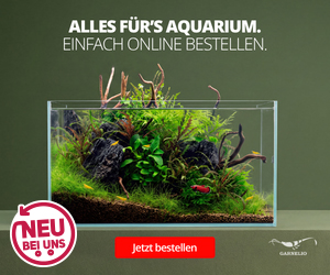 Jetzt neu bei uns!